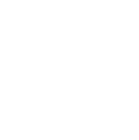 Linked in Icon